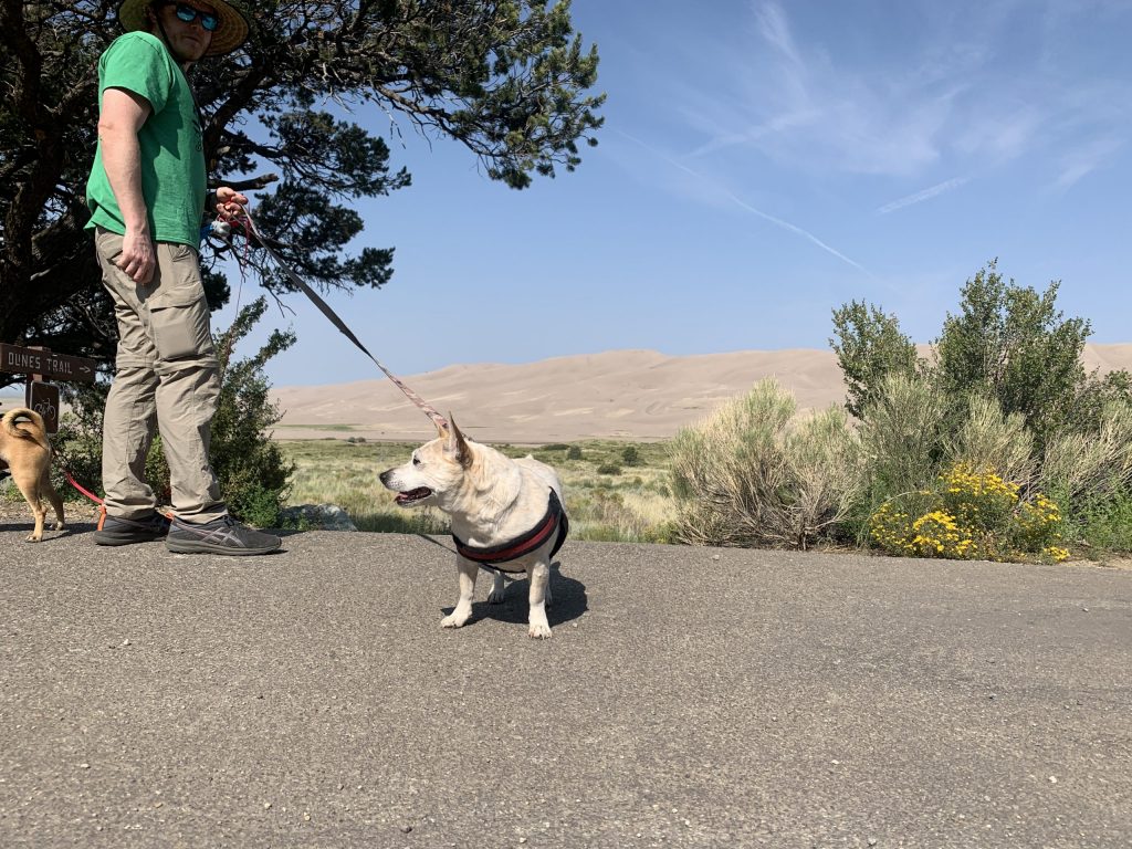 Great Sand Dunes National Park