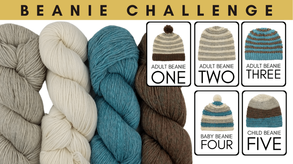 Crochet Beanie Challenge